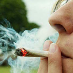 Consumidores de cannabis sufren alteraciones cognitivas