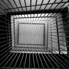 “Un enfermo mental no puede ir a una cárcel normal”