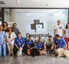 Los pacientes hospitalarios reciben la visita de sus perros